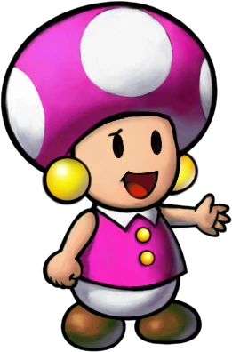 Toadiko : L’amie fidèle de Toadbert dans Mario & Luigi: Partners in Time